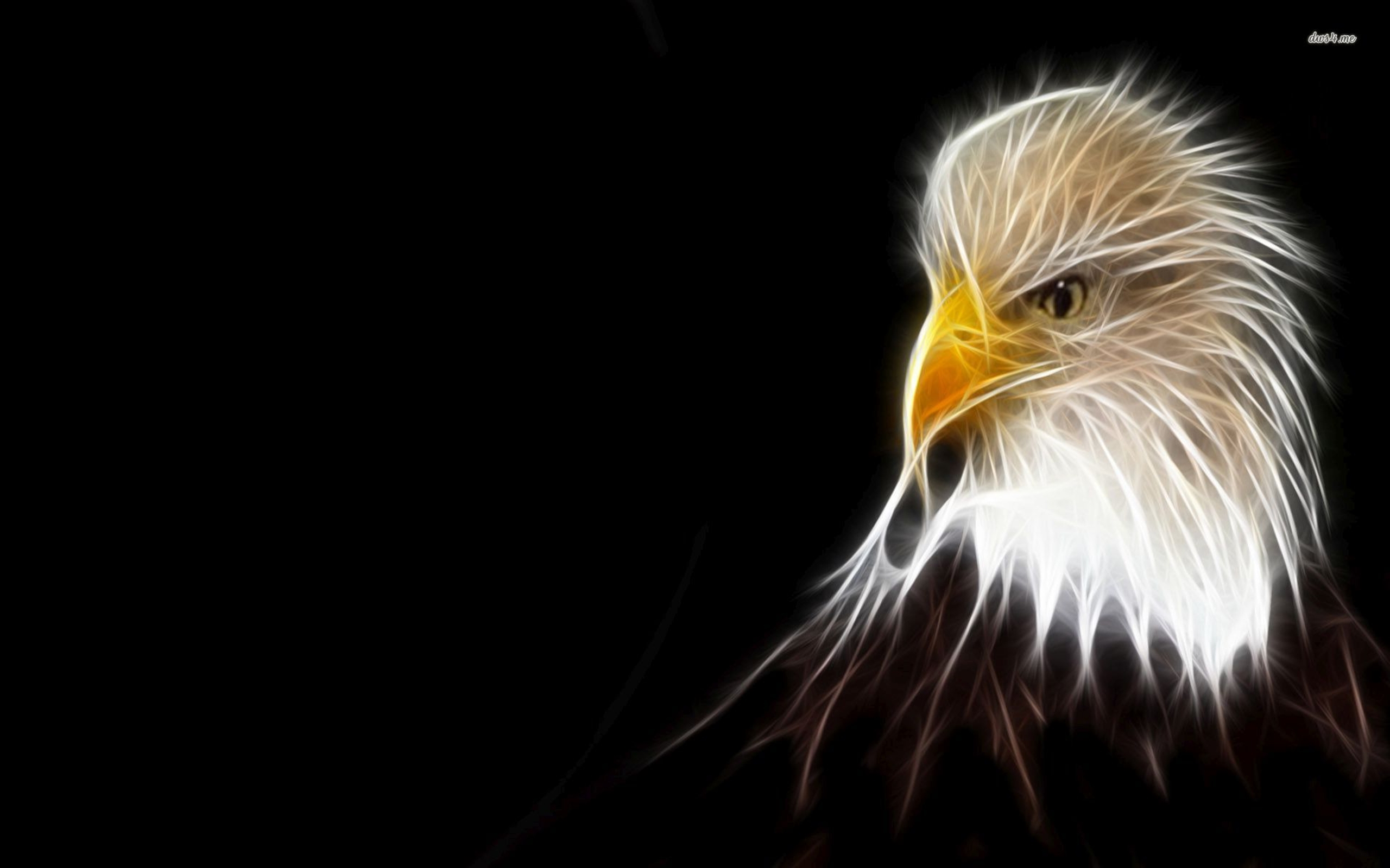 Lighted Eagle 2560x1600 Digital Art Wallpaper : Wallpapers13.com