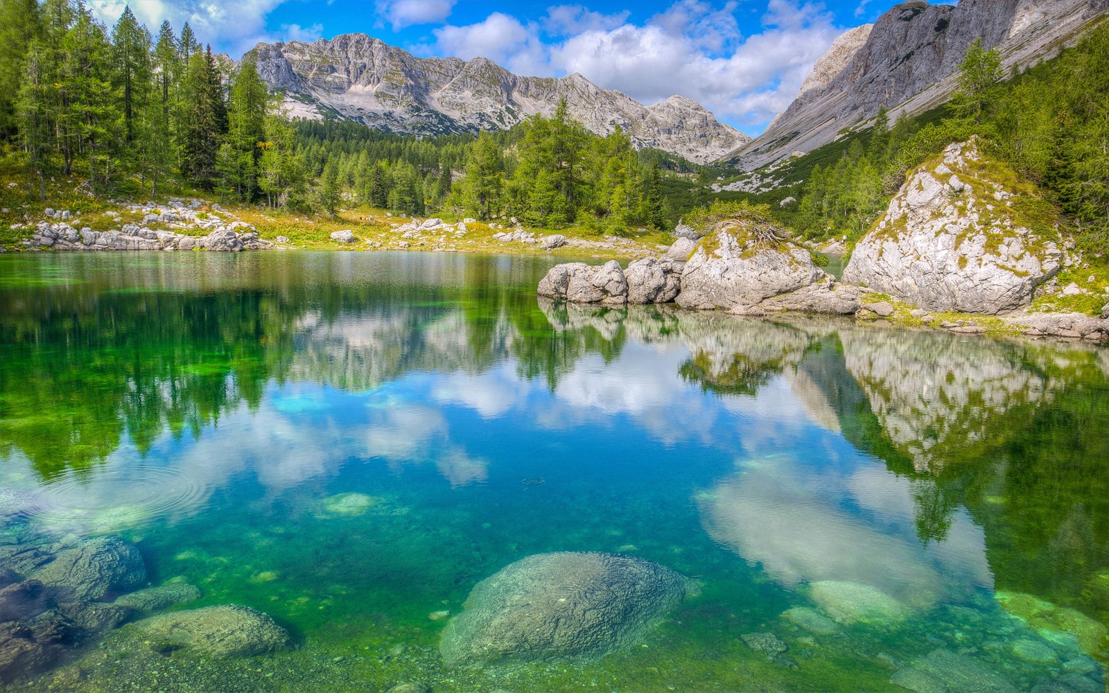 triglav lakes in the valley of the julian alps in slovenia