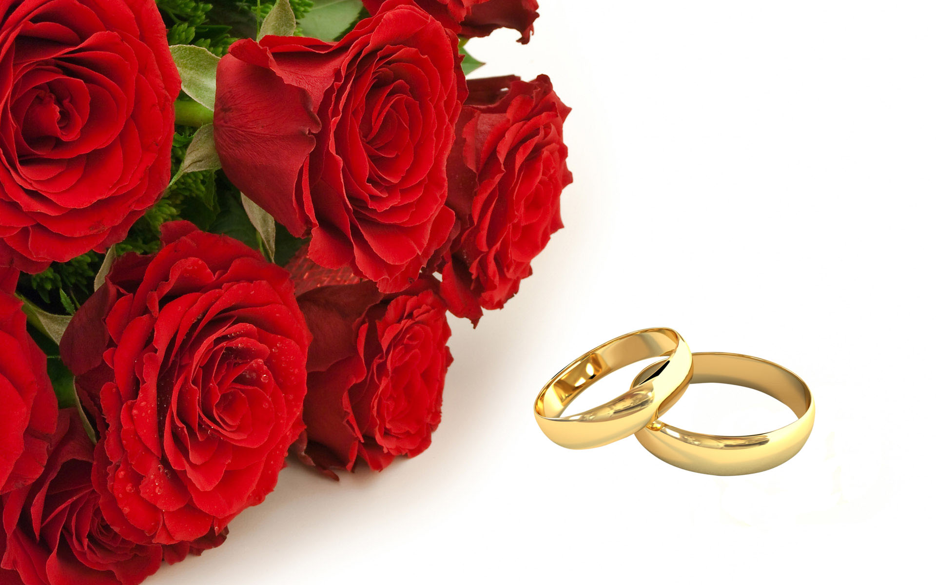 Wedding rings and red roses flowers wallpaper : Wallpapers13.com