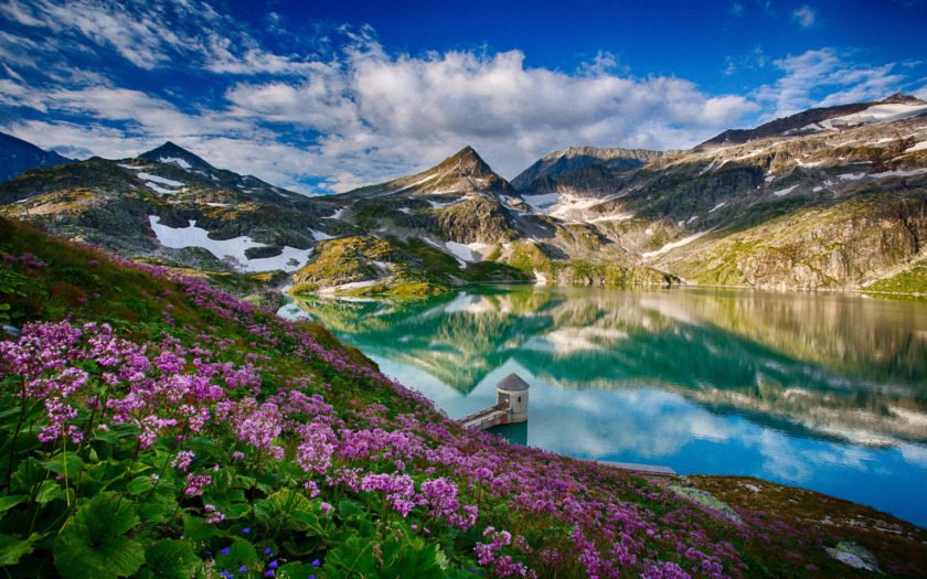 Spring Landscape Weißseeglacier, Austria Lake Mountain Flowers ...