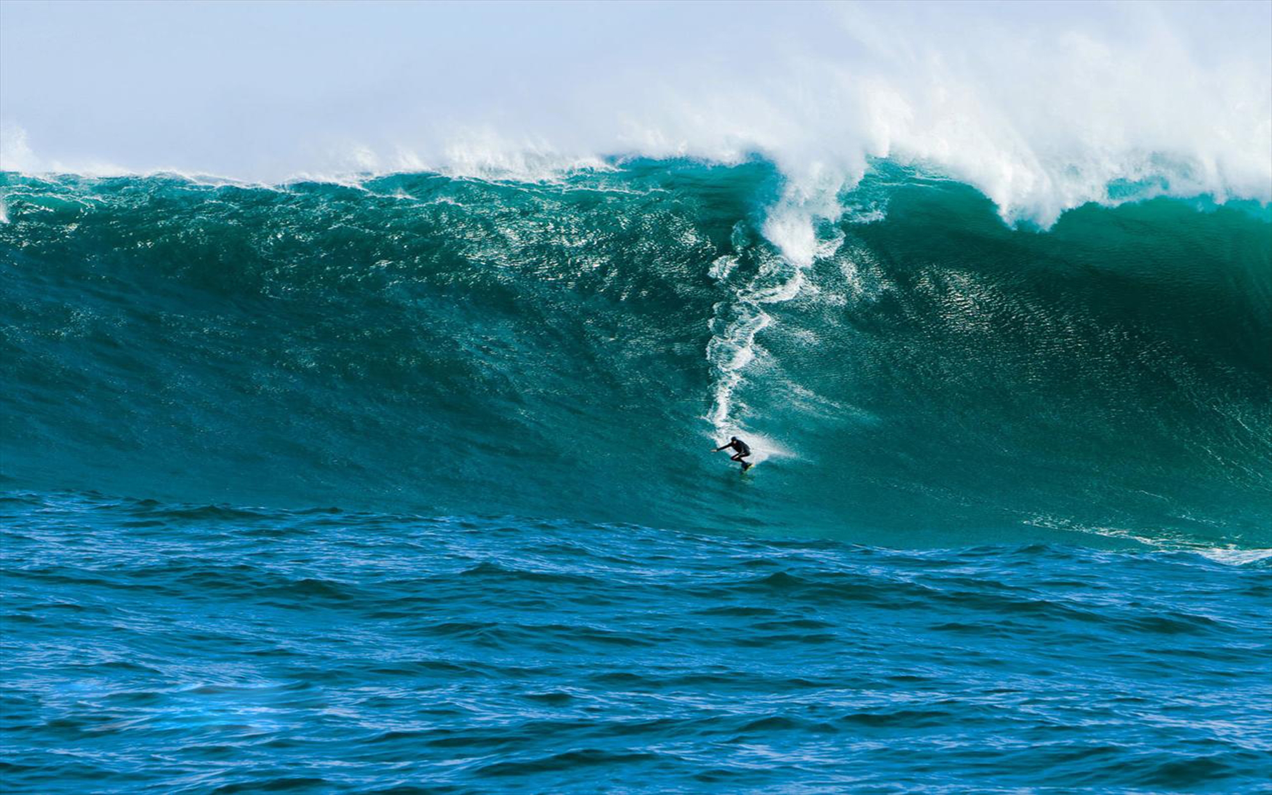 Surfing On Huge Wave : Wallpapers13.com