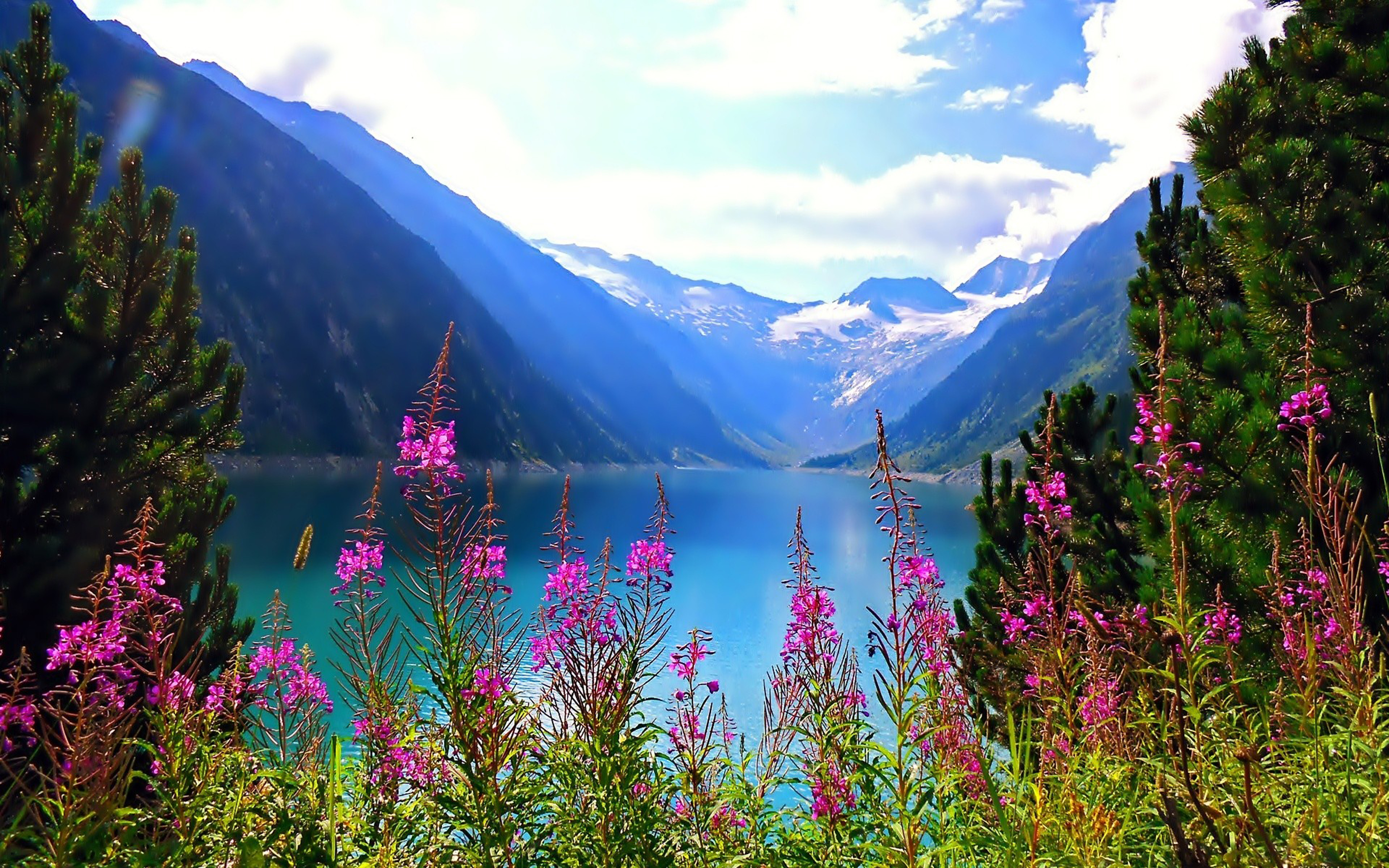 Beautiful Nature Mountain Lake Flowers Free Hd Wallpaper ...