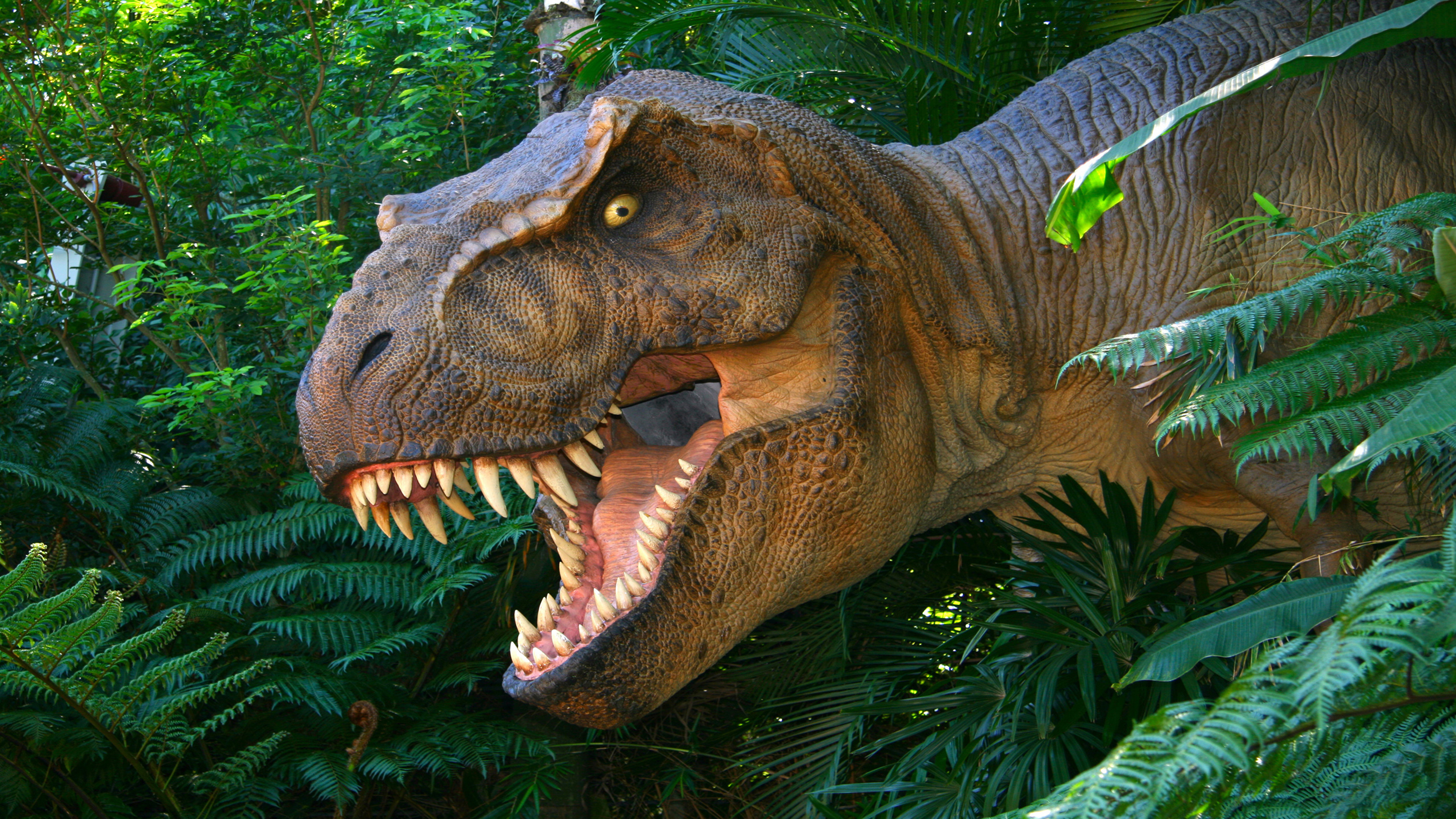 What is the title of this picture ? Dinosaurs Tyrannosaurus Rex Lost World Of Animals From The Past Hd