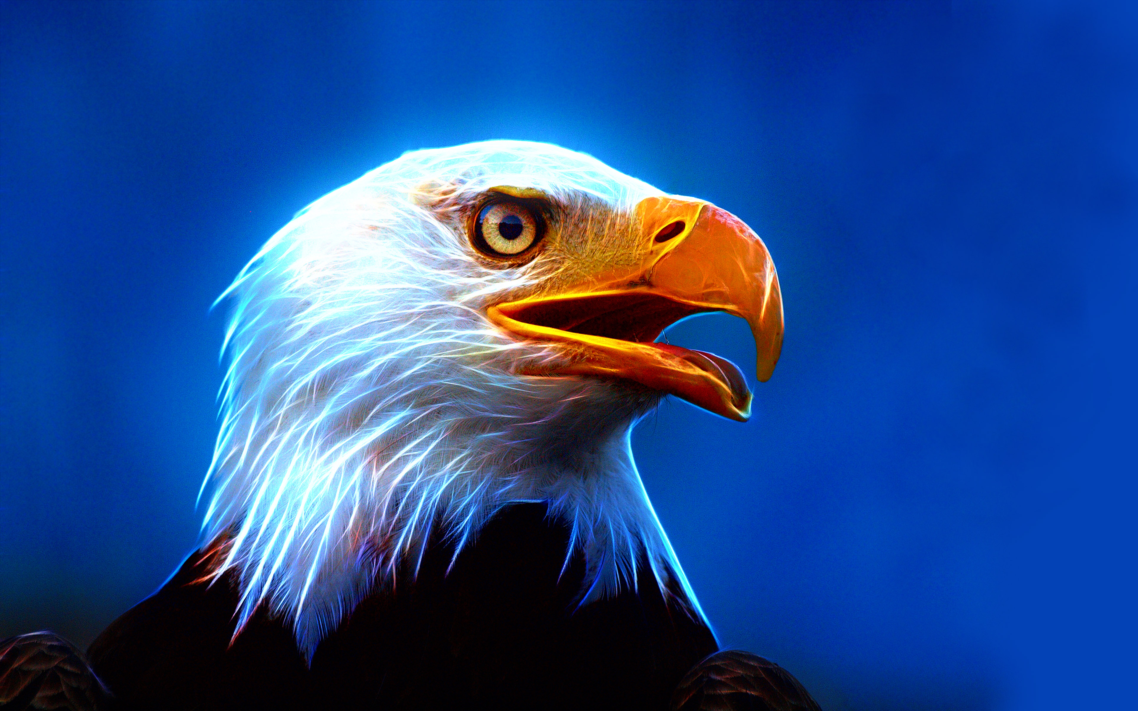 Eagle Ultra Hd Wallpaper For Mobile Phone And Pc : 