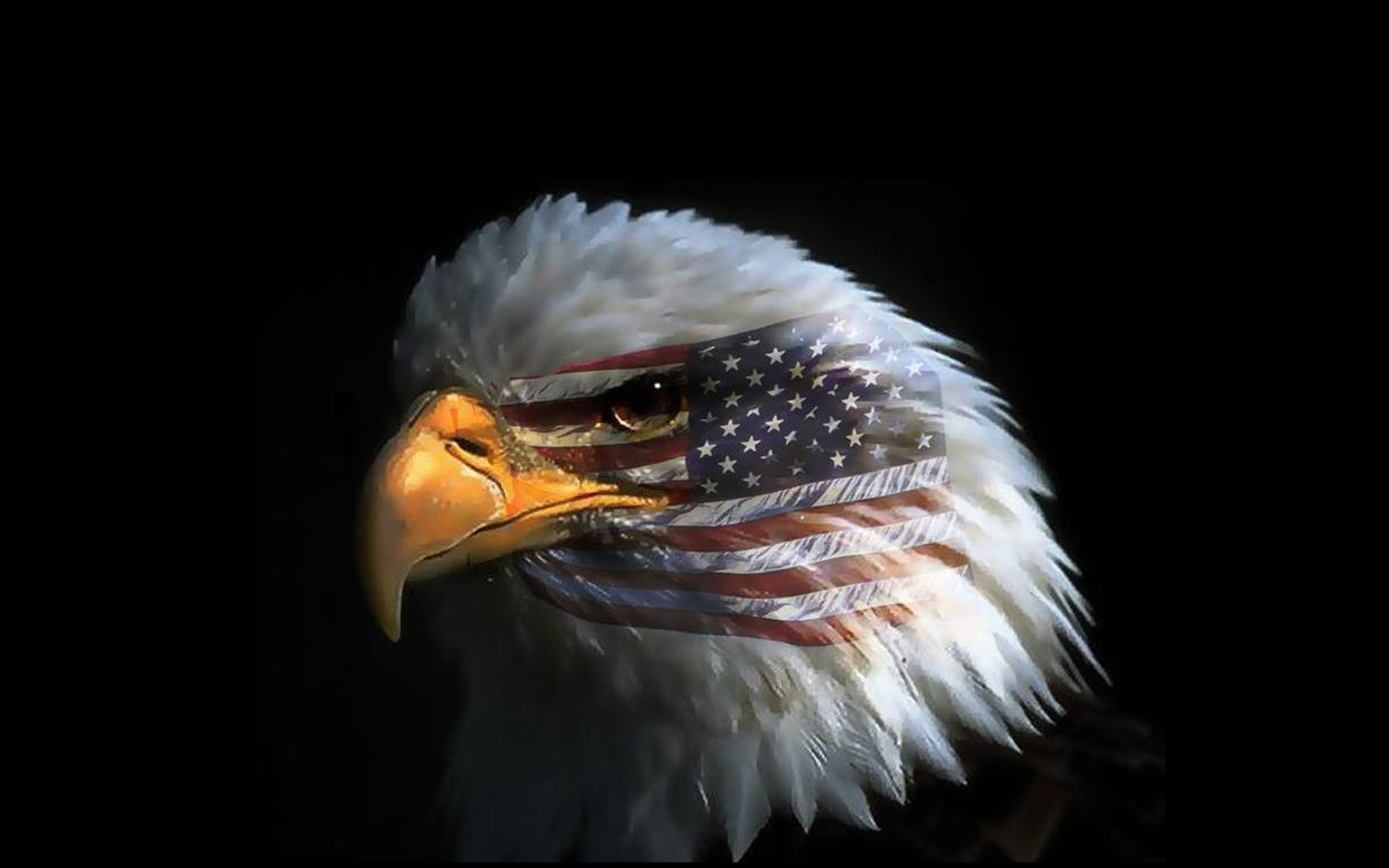 Eagle Eye American Flag Wallpaper Hd Or Mobile Phone And Pc