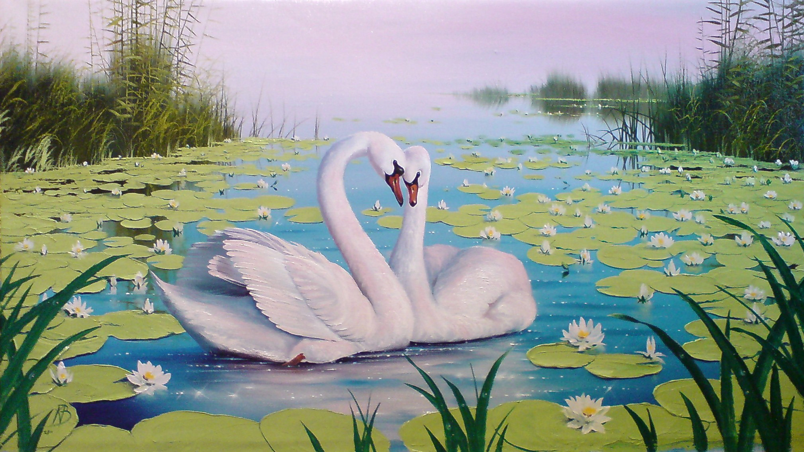 Лебеди на озере с кувшинками