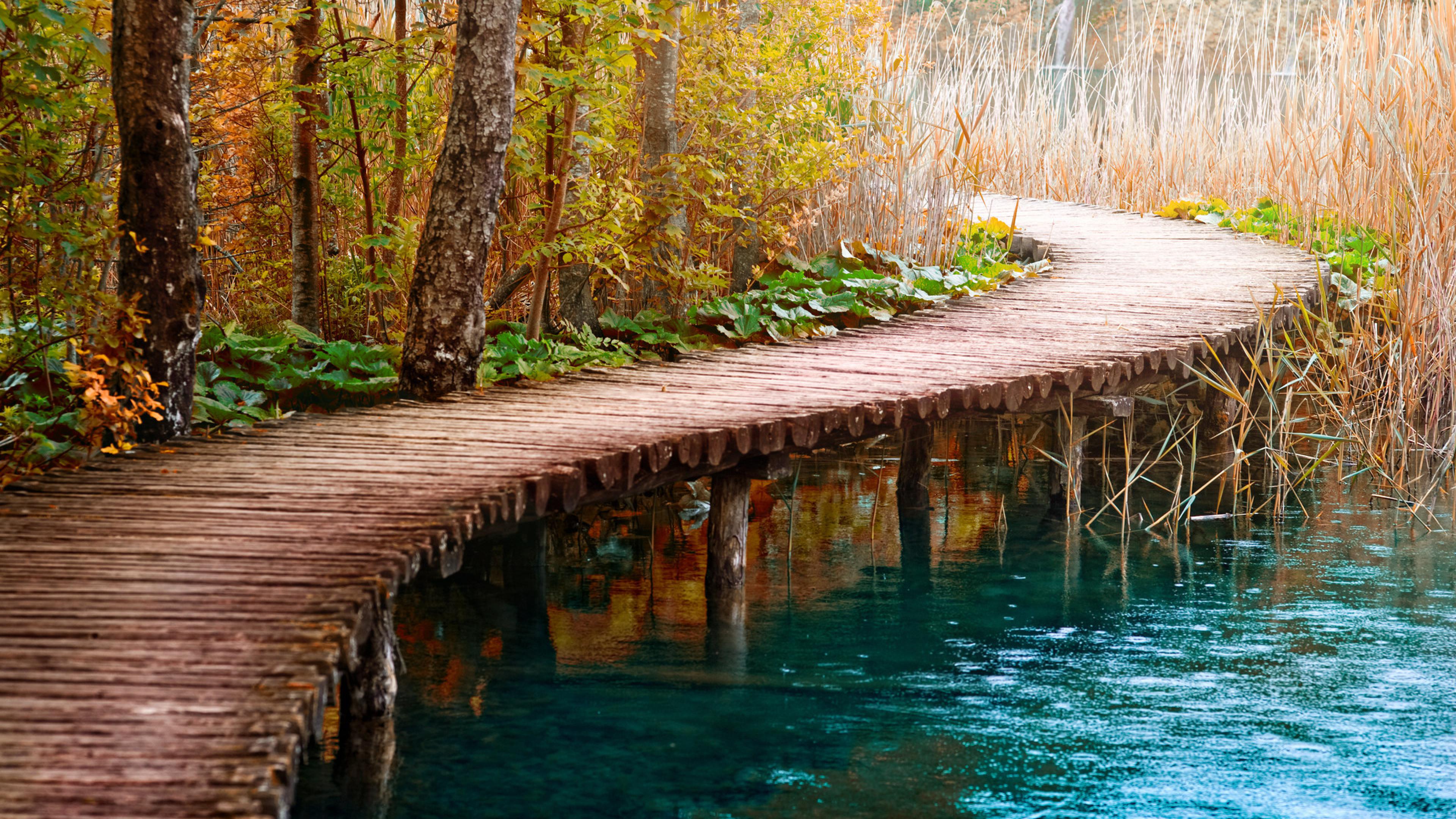 Autumn Background River Wooden Path Bridge Cane Reeds Dry : 