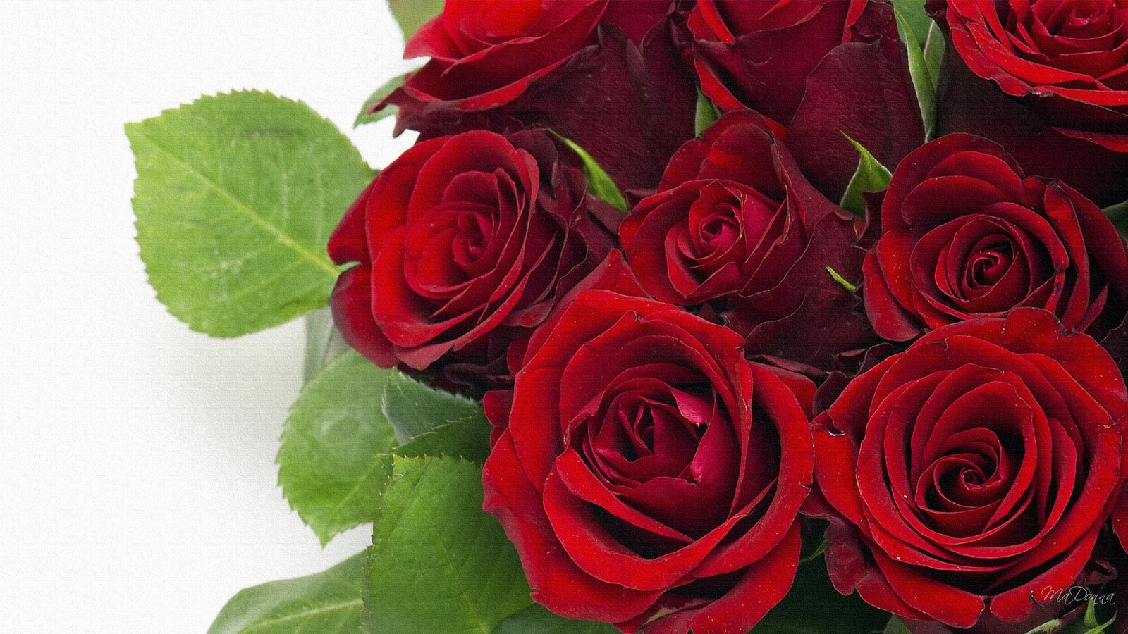 Bouquet Red Rose - Free photo on Pixabay - Pixabay