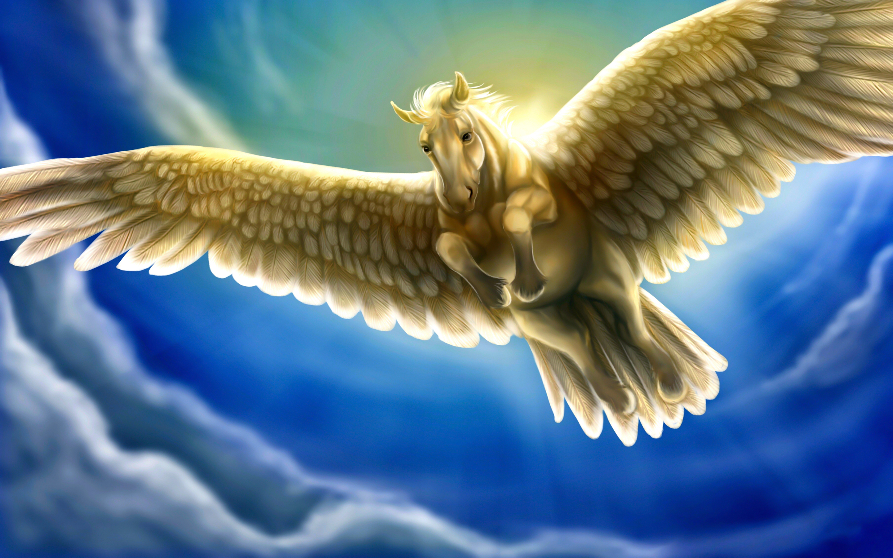 Heavenly White Horse With Wings Pegasus Fantasy Sky Blue Hd Wallpapers