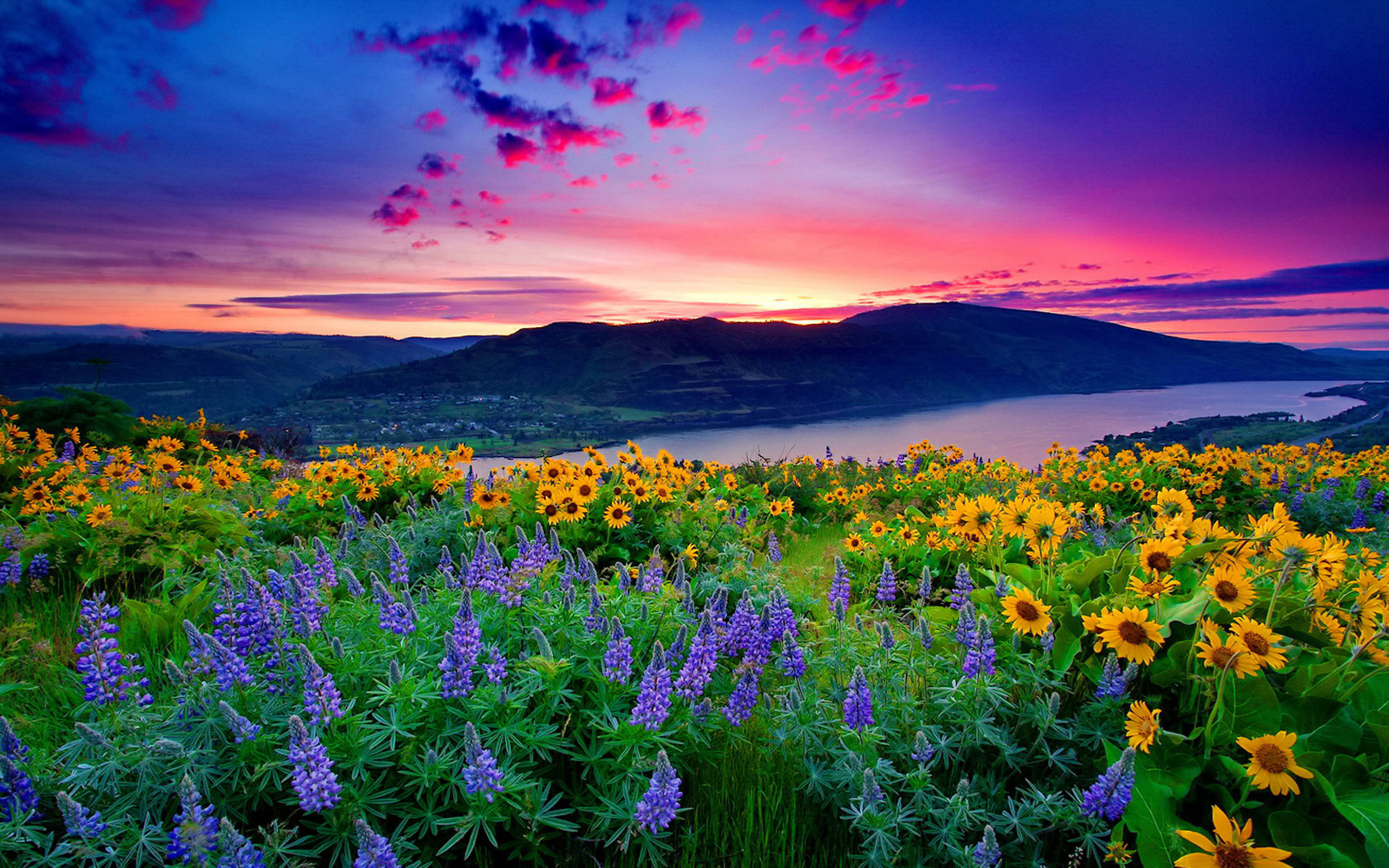 Nature Landscape Yellow Flowers And Blue Mountain Lake Hills Red Cloud Sunset Hd Desktop ...