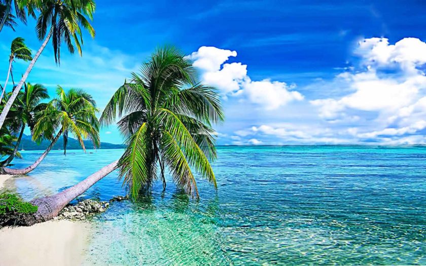 Hè đến rồi và bạn muốn bầu không khí của mùa giải này tràn ngập trên máy tính của mình? Hãy xem qua các hình nền với bãi biển nhiệt đới, cọ palmy xanh mướt và một màu xanh da trời sáng lấp lánh. Mang đến cho bạn cảm giác tươi mới và thư giãn ngay tại nhà!