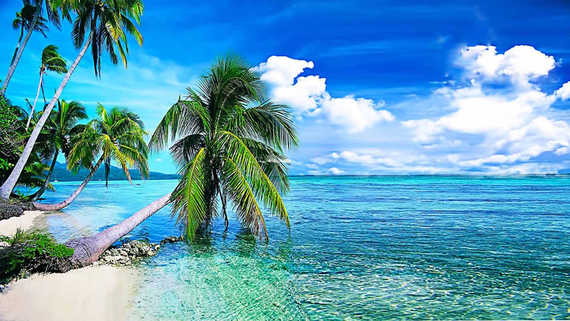 Summer Background, Tropical Beach With Palmi.okean With Crystal Clear