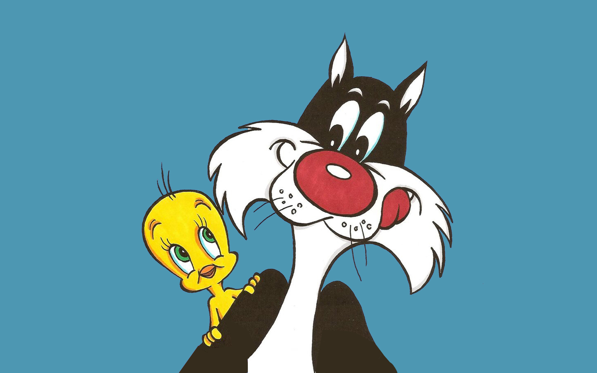Desktop Hd Wallpaper Looney Tunes Tweety And Sylvester Cat Cartoons 1920x1200