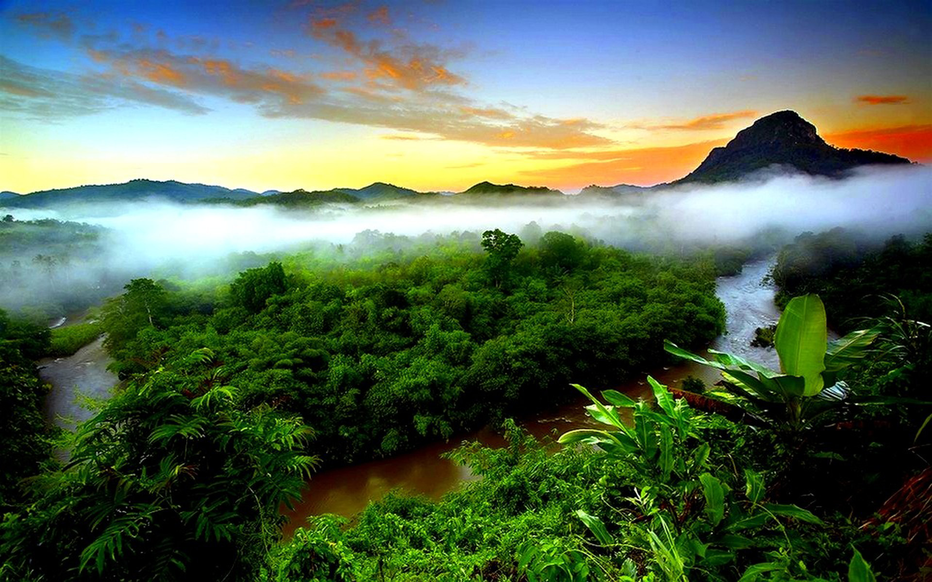 Tropical Rainforest Mist Evaporation Green Forest Mountain  