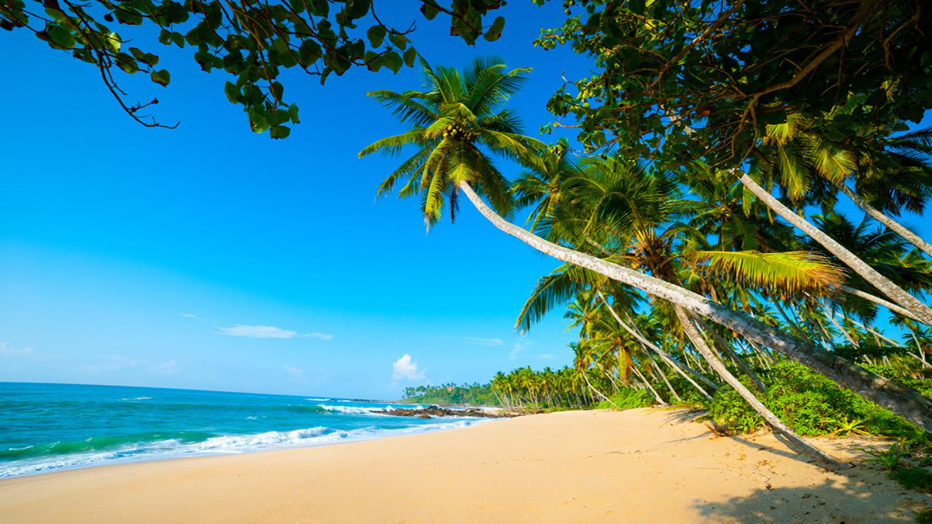 Arugambay Exoctic Beaches Sri Lanka Sandy Beaches Blue Waters Palm