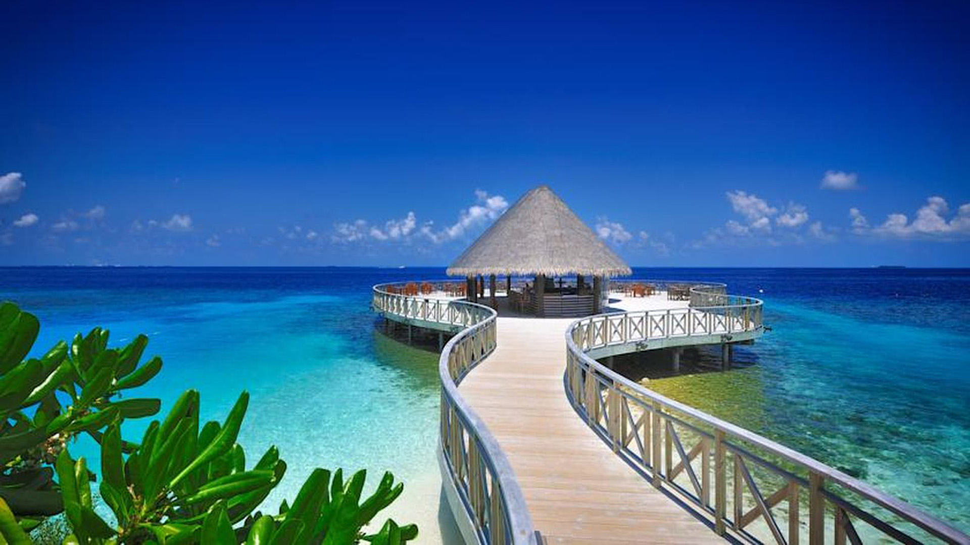 Bandos Maldives 5