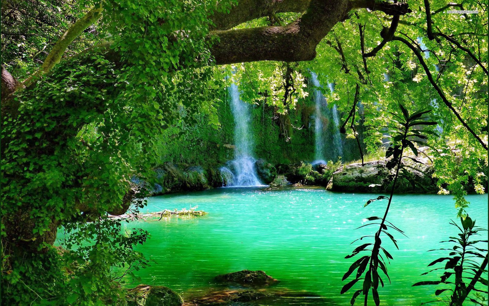 The Kurşunlu Waterfall With Turquoise Green Water Forest Tree 19 Km