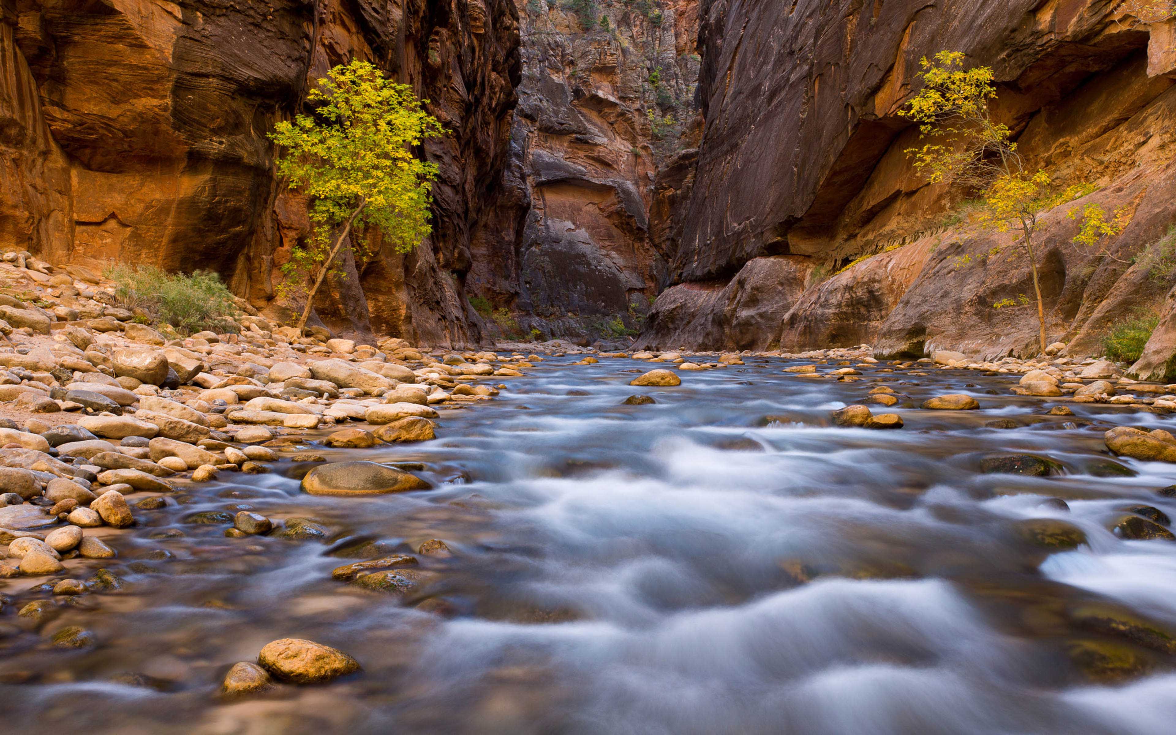 Land Virgin River Hiking The Zion National Park The Narrows Usa