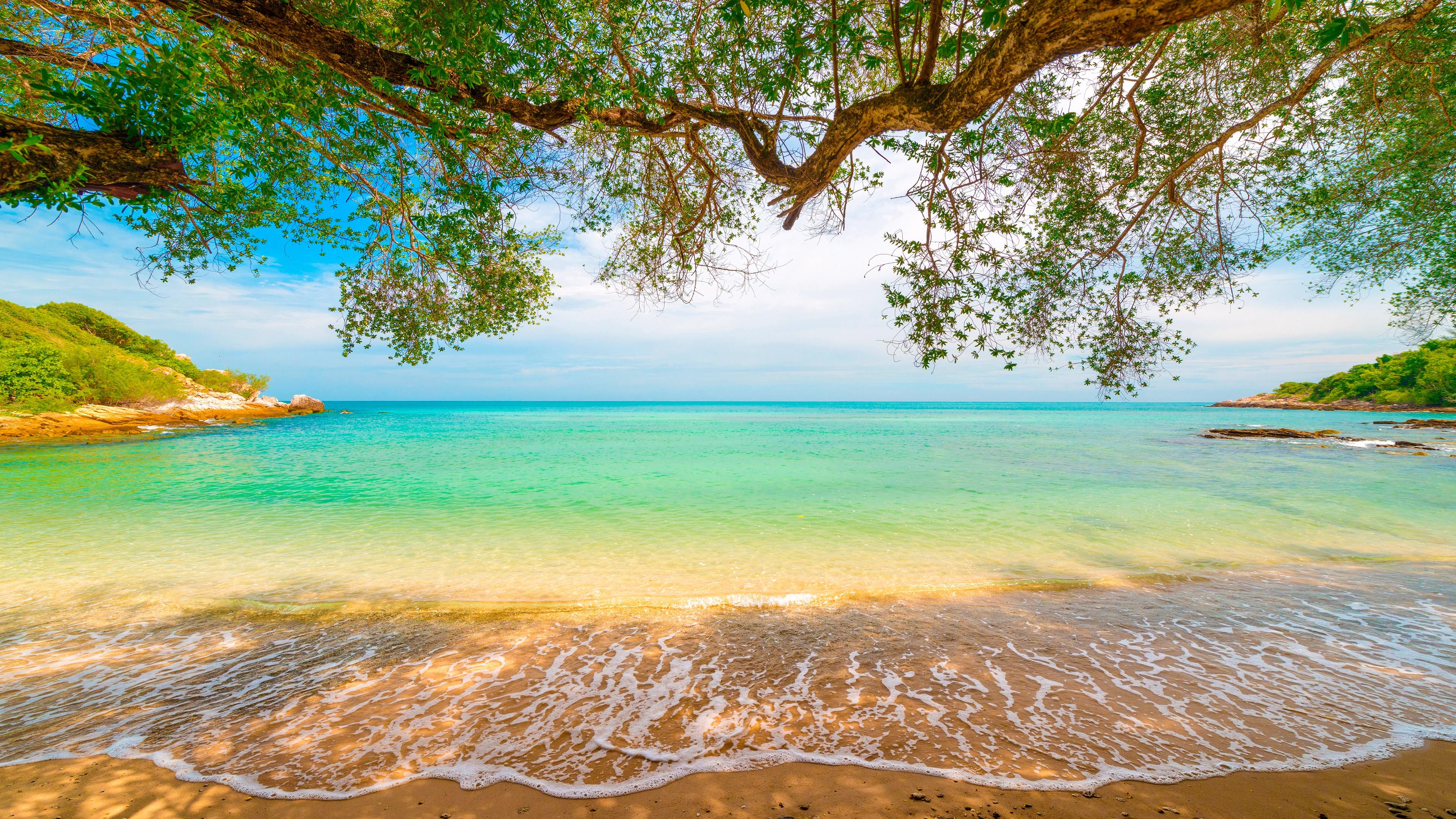 Tropical Sand Beach Lagoon Coastline Sea Waves Turquoise Water Trees Willow Overhanged Horizon