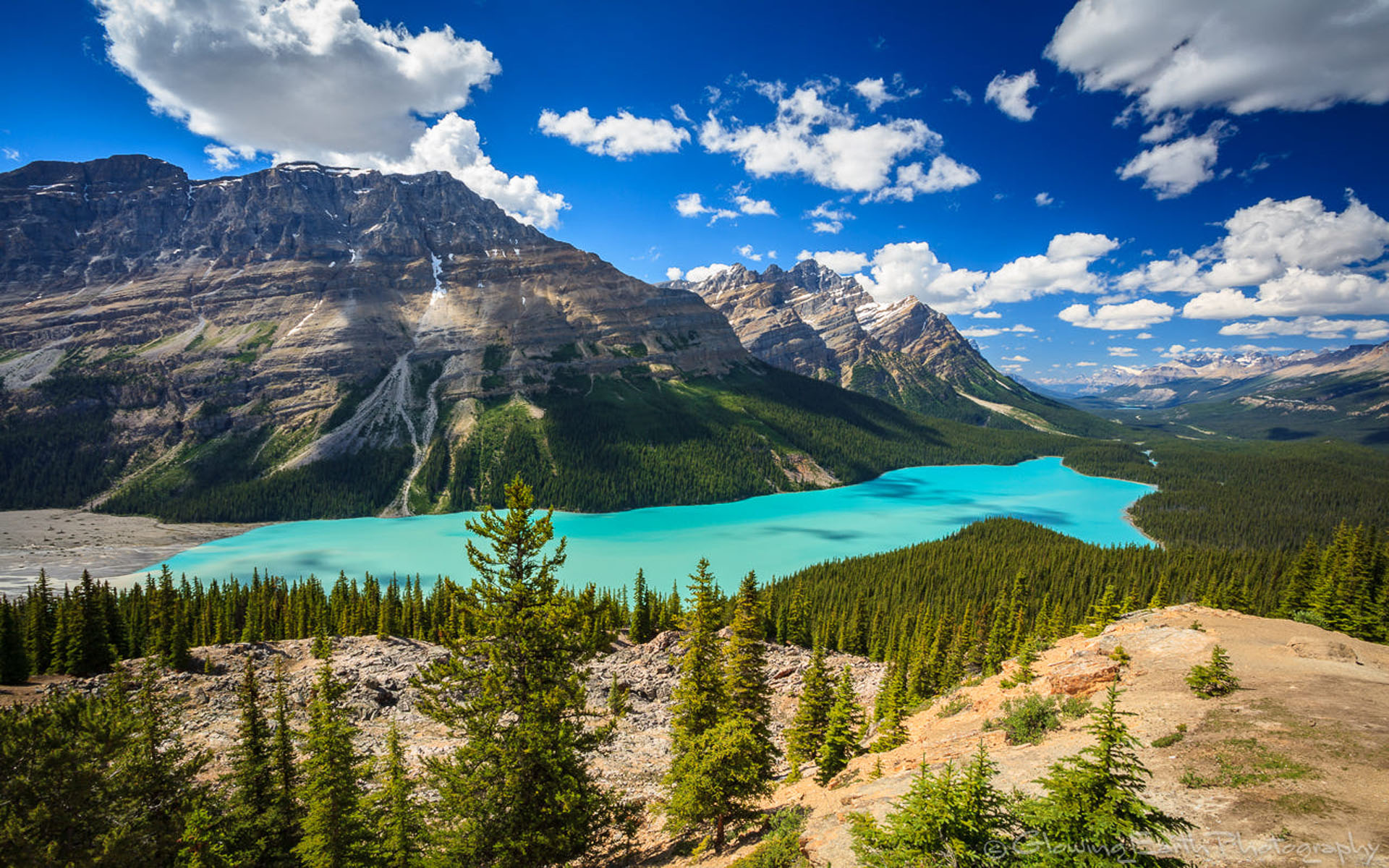 Peyto Lake Viewed In Banff National Park In The Canadian Rockies Nature ...