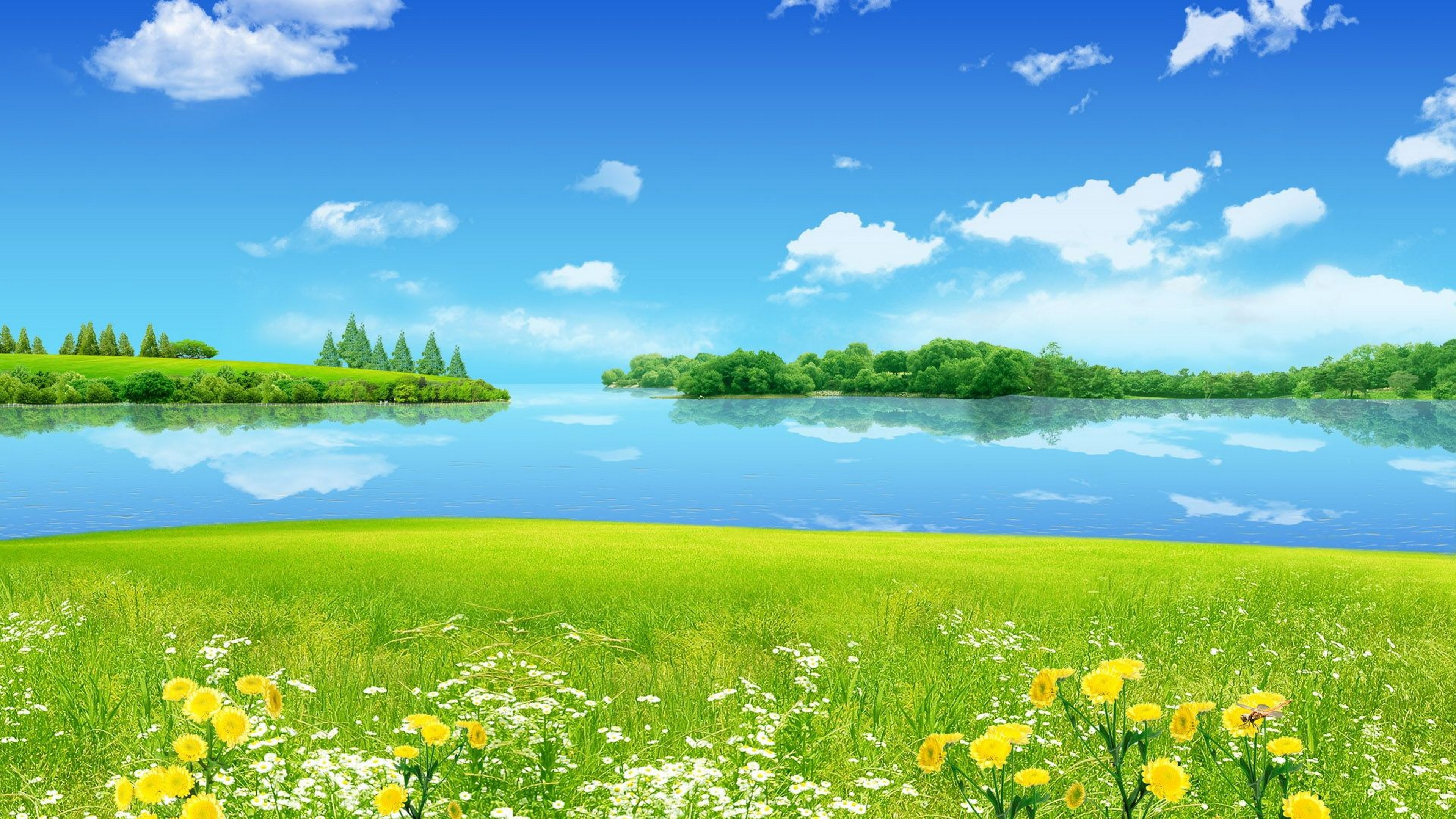 Summer Landscape Meadow With Green Grass Wild Flowers Blue Sky Reflection  In Lake Desktop Hd Wallpaper For Mobile Phones Tablet And Pc :  