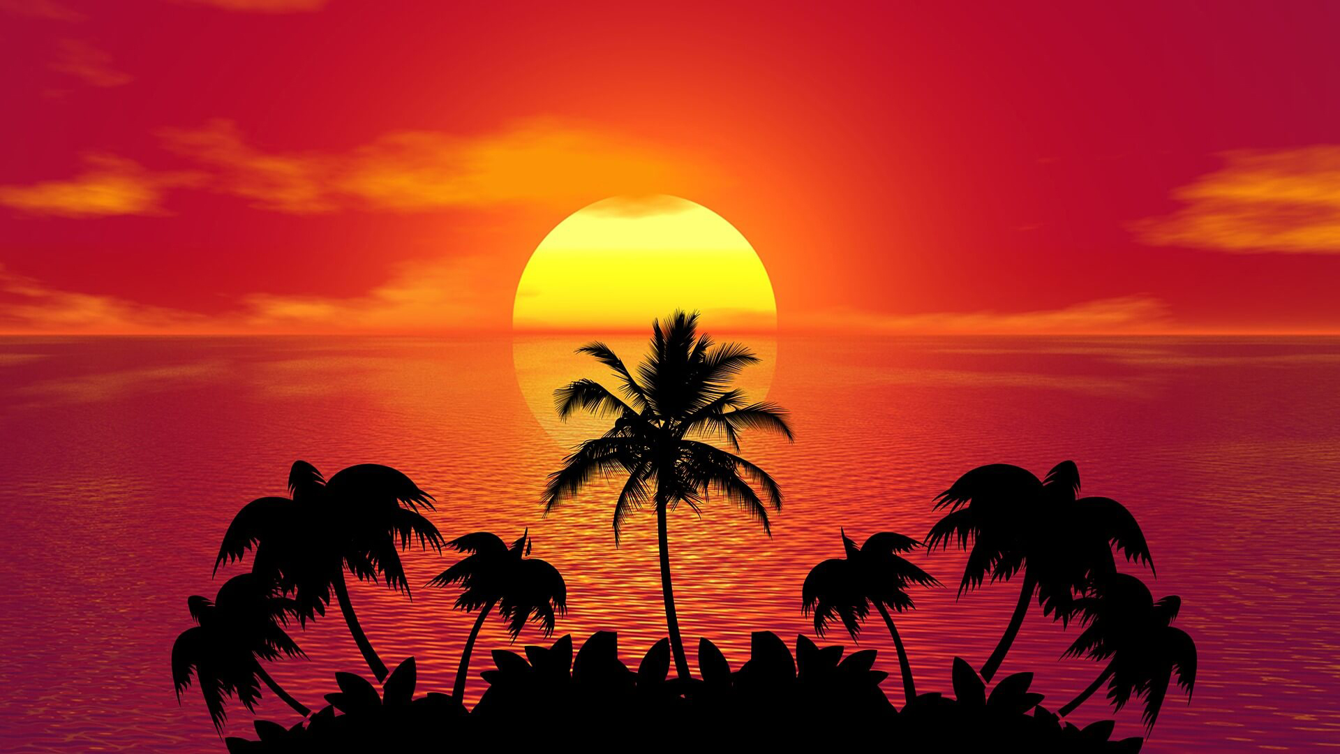 Tropical Island Summer Red Sunset Beach Ocean Palm Wallpapers Hd ...